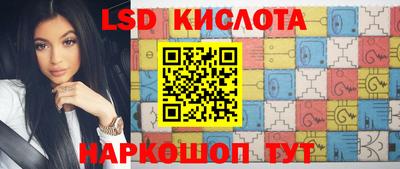 стаф Донской