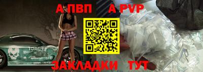 стаф Донской