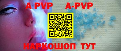 стаф Донской