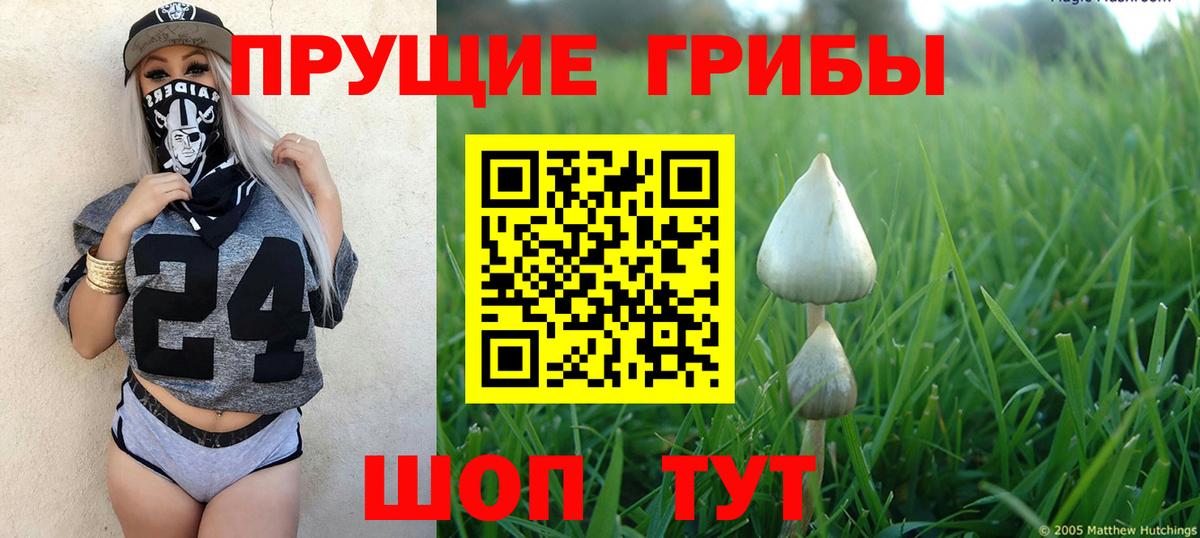 Калач-на-Дону  дарнет шоп  Вход с VPN  Галлюциногенные грибы GOLDEN TEACHER 