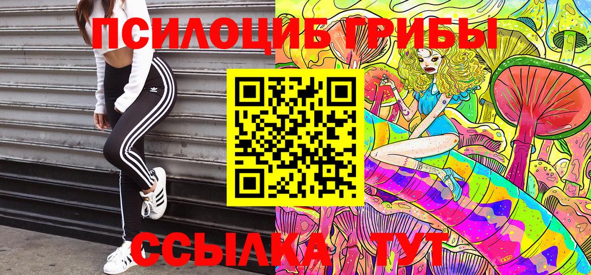 Псилоцибиновые грибы мицелий Калач-на-Дону